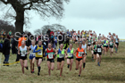 Womens under-17s 2018 Northern Cross Country Champs., Harewood House, Leeds. Photo: David T. Hewitson/Sports for All Pics